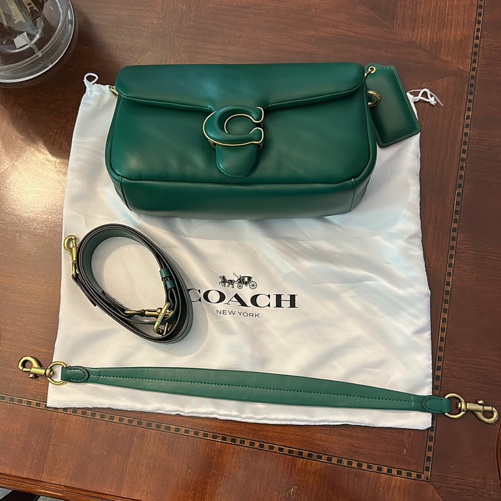 Coach pillow tabby 26